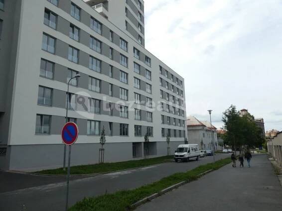 Pronájem bytu 1+kk 29 m², Nemocniční, Plzeň, Plzeňský kraj