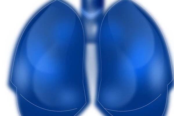 CO VÁS ZAJÍMÁ? INFEKČNÍ ONEMOCNĚNÍ PLIC, TUBERKULÓZA, ZÁPAL PLIC - TÉMA NAŠÍ ONLINE PORADNY 