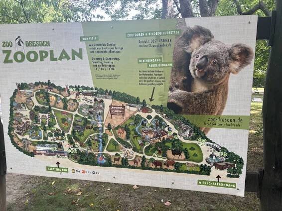 Kam s dětmi do zoo? Zkuste Zoo Drážďany!