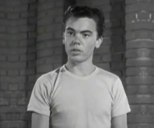 Bobby Driscoll Biography - Facts, Childhood, Family Life & Achievements