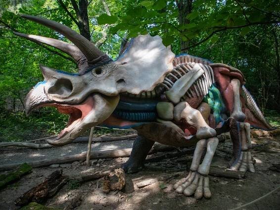 ZOO a DinoPark Vyškov – cesta ze současnosti do druhohor a zpět | PrimaVylety.cz