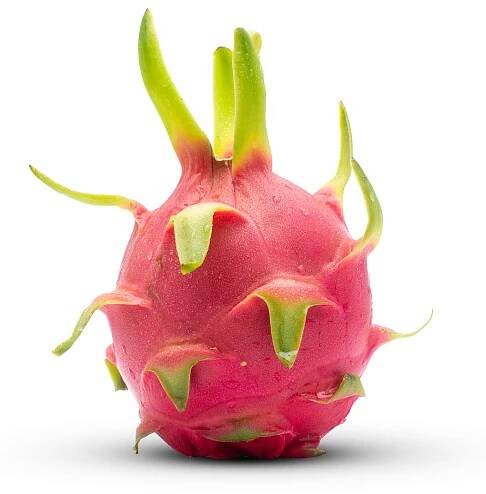 Dračí ovoce GIANT (pitahaya), červená dužina
