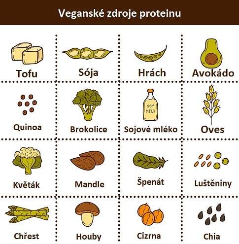 Veganské zdroje bílkovin