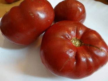 Charakteristika a popis rajčat Masově cukr, pěstování odrůdy