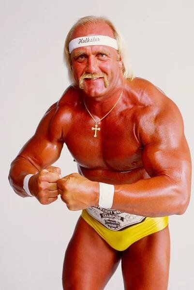 Wrestling icon Hulk Hogan's life in pictures — from WWF championships to legal battles