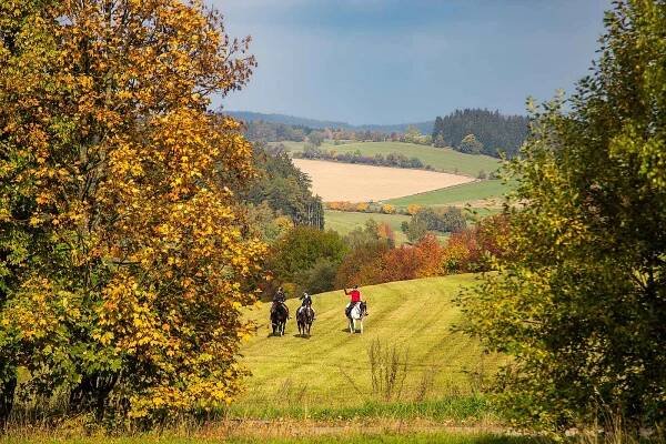 Hubertova jízda Vysočinou okolím Kuklíku fascinuje krásou koní i podzimní přírody.