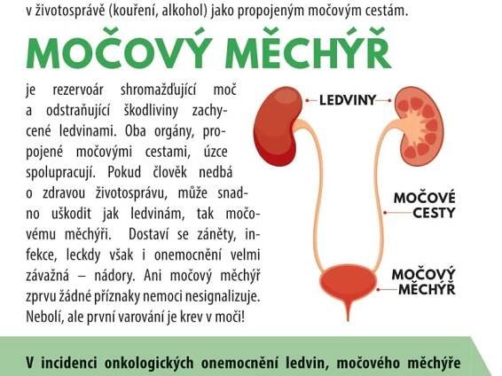 Začínají České dny proti rakovině
