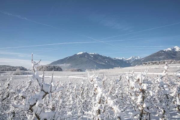 Skiing or tobogganing? Winter holidays in Valle Isarco