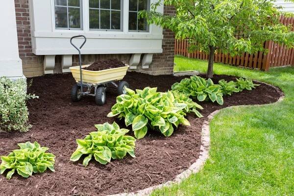 Yard Maintenance - Royal City Nursery