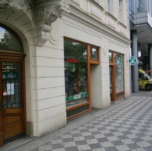 Karlovo náměstí 313/8, Praha 2 - Nové Město
