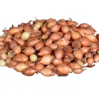 Cibule sazečka žlutá Hercules - Allium cepa - cibulky - 250 g