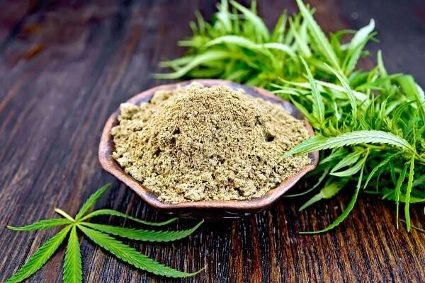 EU Adopts Maximum THC Limits in Hempseed Foods