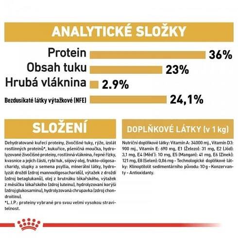 ROYAL CANIN Kitten Maine Coon 2kg  granule pro mainská mývalí koťata