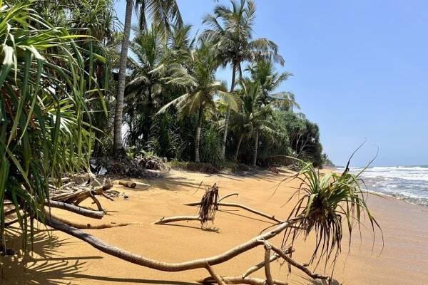Kalutara dovolená 2025, Srí Lanka | Invia.cz