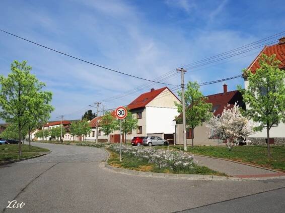 Revitalizace veřejné zeleně Brankovice | Městys Brankovice