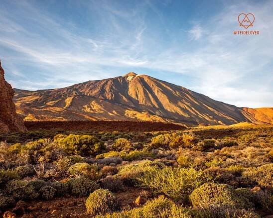 Acciones para conservar la biodiversidad del Teide