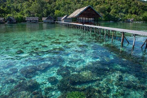 raja ampat reef from above the sea at papua diving resorts