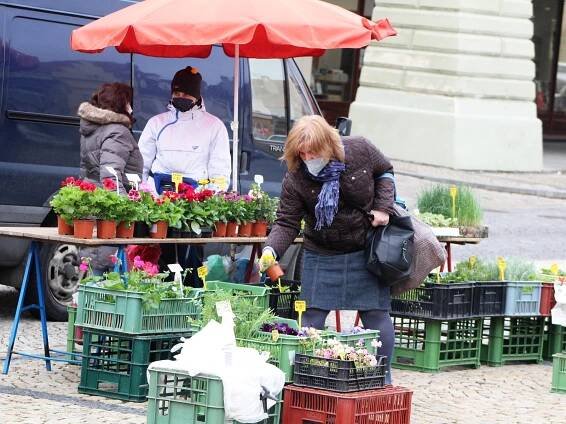 FOTO: Voňavý chléb, klobáska, na zahradu sadba. Trhy se vrátily do Žatce