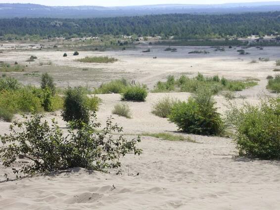 Pustynia Błędowska – Polska Sahara