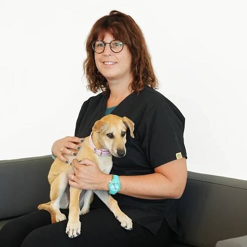 Dog Neutering