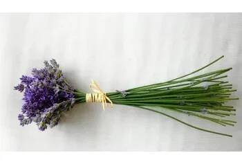 HAND MADE Sušená kytička dvoubarevná levandule Velikost M: malá