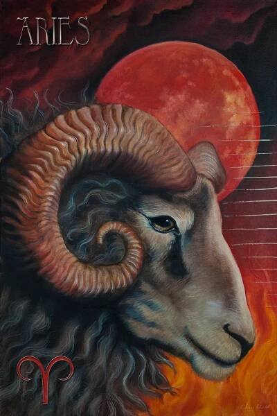 Aries Star Planners Astrology