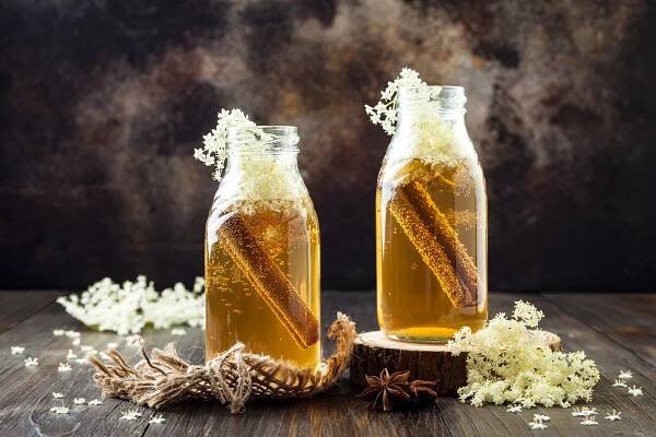 Ferments of the Future: the future of healthy and sustainable food