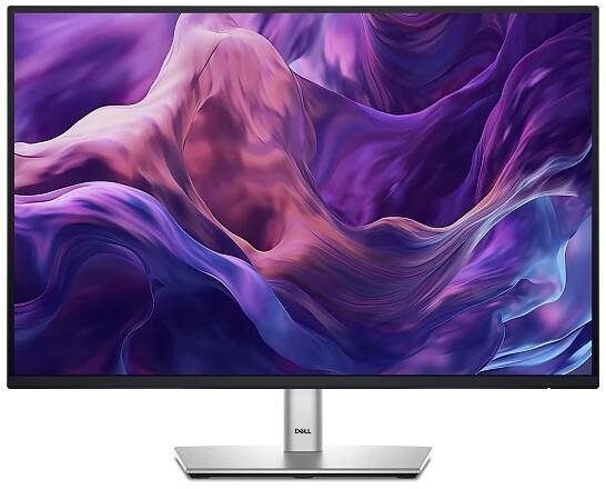 Dell P2425E