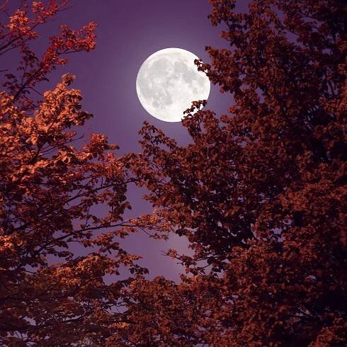 The Full Corn Moon September 2025: Everything you need to know
