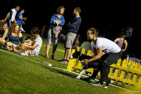 Fotky Moravia Open 2016 (2016) - FotoHacko.cz