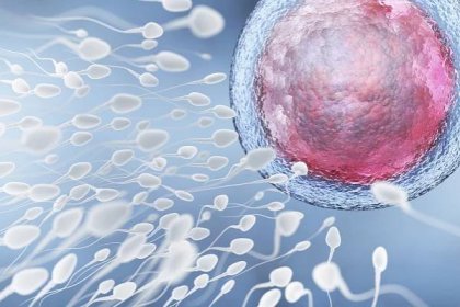 Mýtus nebo skutečnost: 7 faktů, které jste nevěděli o spermiích