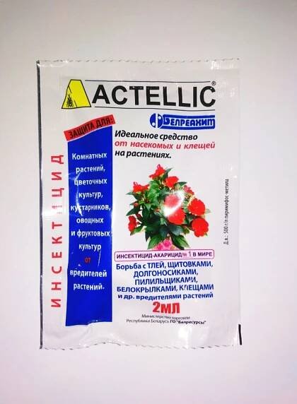Actellic - návod k použití insekticidu a tajemství jeho použití