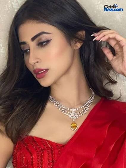 mouni roy source of income