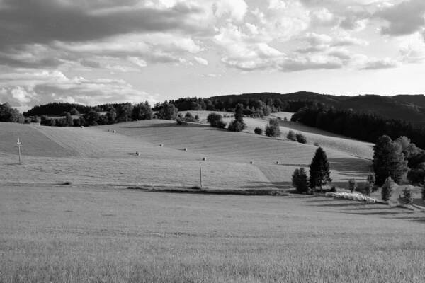 Fotogalerie - Fotogalerie - Oficiální stránky obce Chlum-Korouhvice
