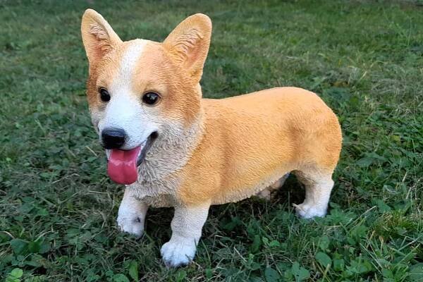 Pes Welsh Corgi