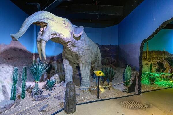 DinoPark Plaza Liberec