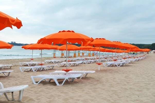 Forest Beach