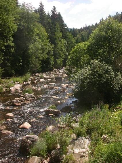 Kořenov