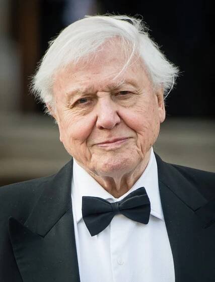 Sir David Attenborough portrait 