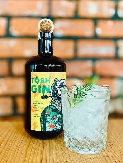 Gin & Tonic – nerozlučný pár | FENIX DRINKS