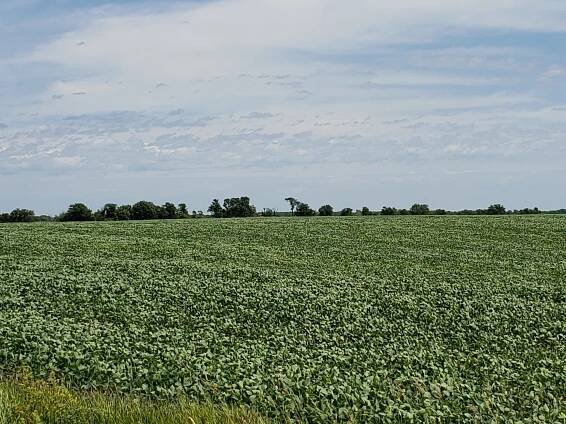 Sold: $12,500,000. / $4,621. per Acre