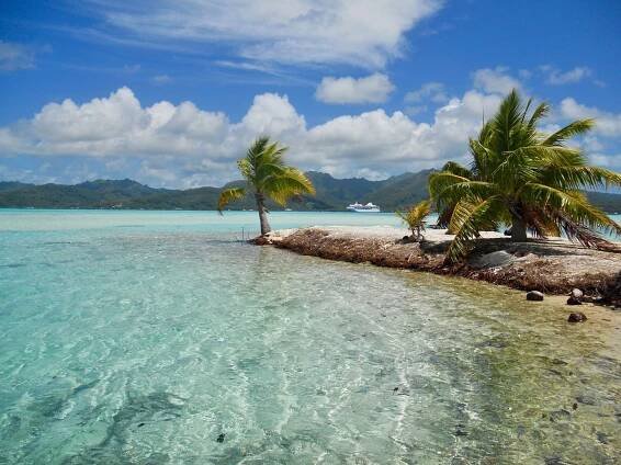 A small island with palm trees in the middle of the ocean