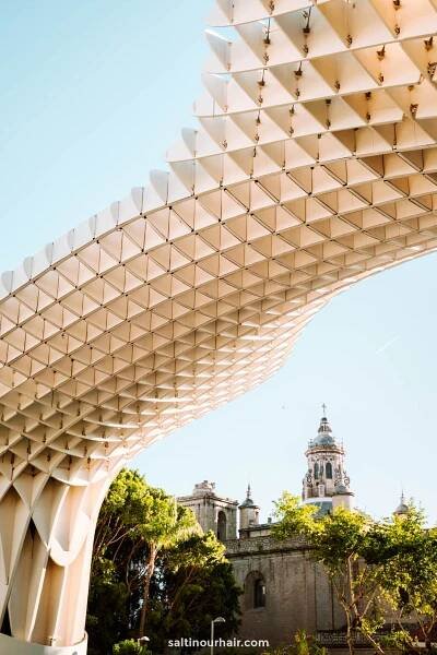 Setas de Sevilla