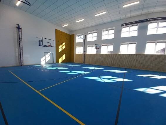 ČUS