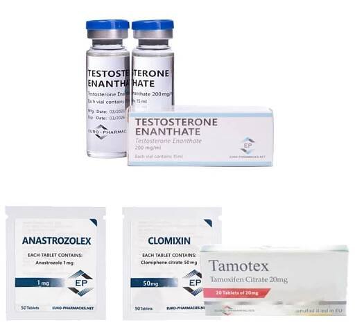 Mass Gain Pack - Testosteron Enanthate (Euro lékárny)