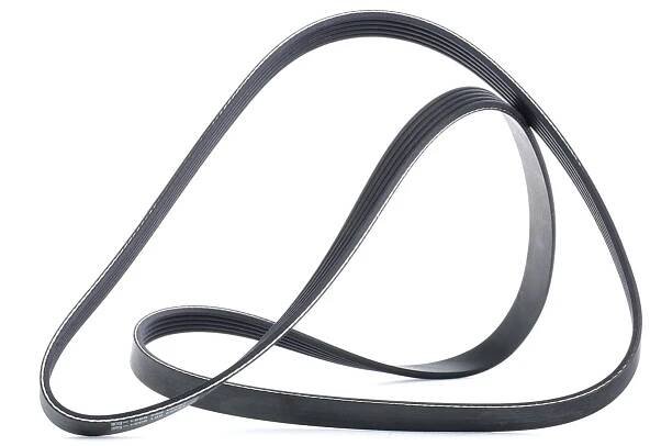 DAYCO 5PK1545 Ozubený klínový řemen