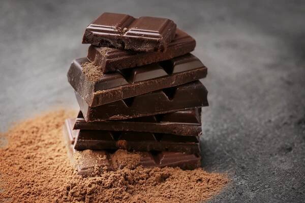 Cocoa could help obese people lose weight, study claims