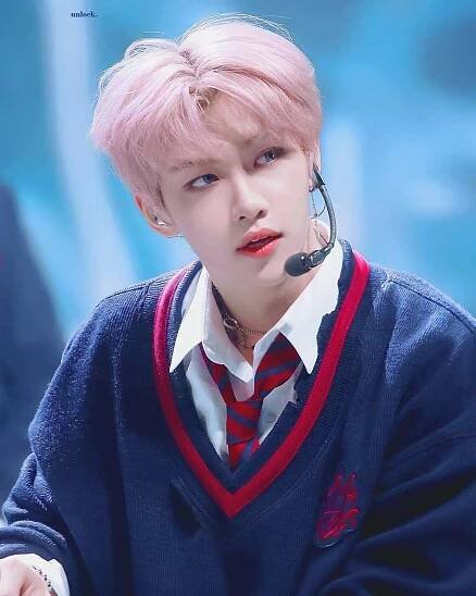Member of Stray Kids - Biography, Profile, Facts, and Career