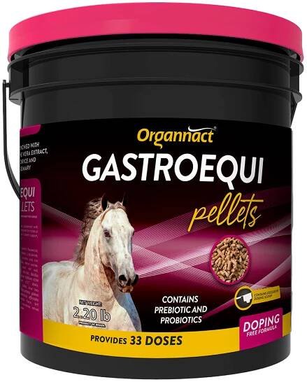 Organnact Gastro Equi Pellets
