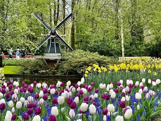 Keukenhof Garden: Dazzling Spring Flowers in The Netherlands